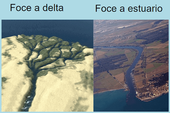 Differenza tra foce a delta ed estuario