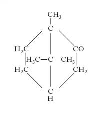 struttura chimica della canfora