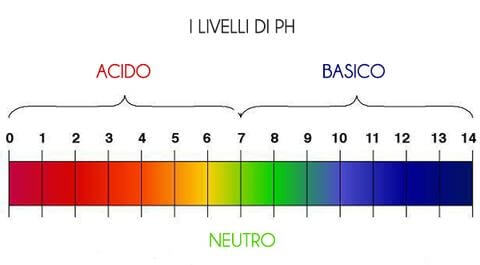 scala del pH