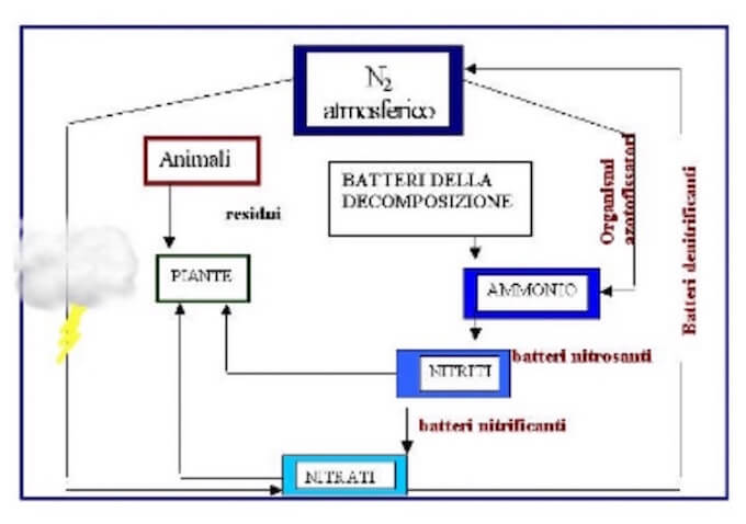 download stakeholder participation in radiological decision making processes and implications radiation