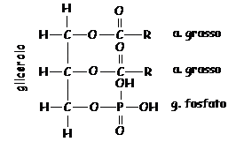 download solution manual for a first course in probability