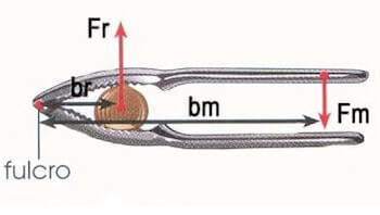 esempio di leva di secondo genere