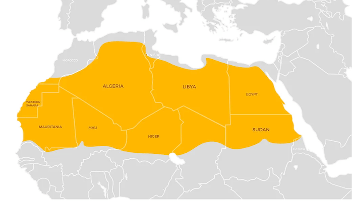 Posizione geografica del Sahara