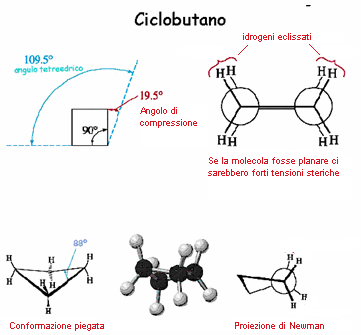 ciclobutano