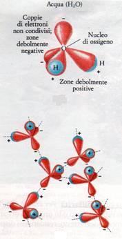 molecola acqua