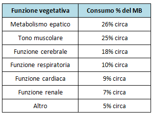 taxa metabólica basal