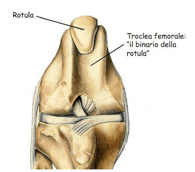 Articolazione Femoro-rotulea