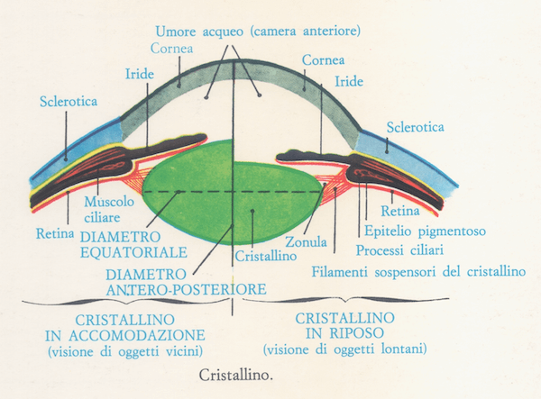 Cristallino