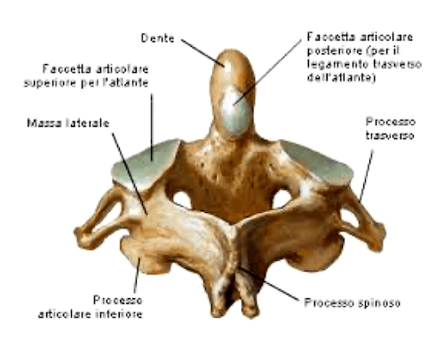 Epistrofeo