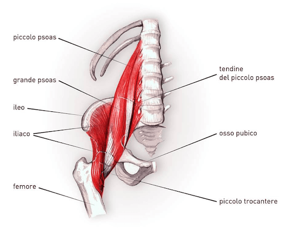 Estiramiento psoas iliaco