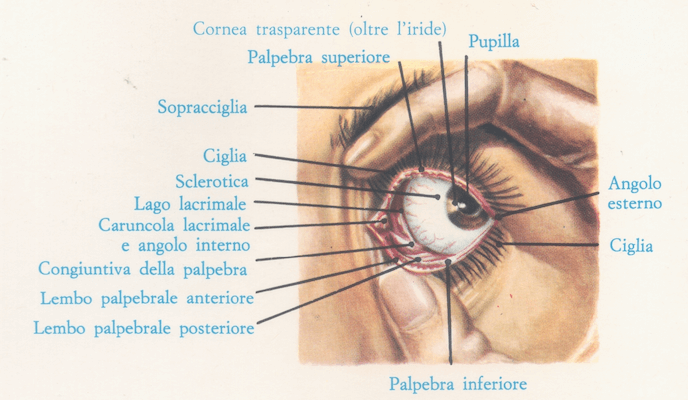 Occhi dall'esterno