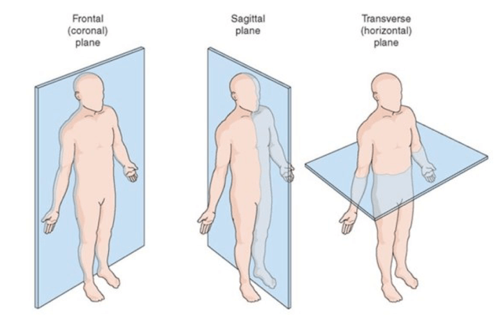 Piani cardinali di orientamento applicabili al corpo umano