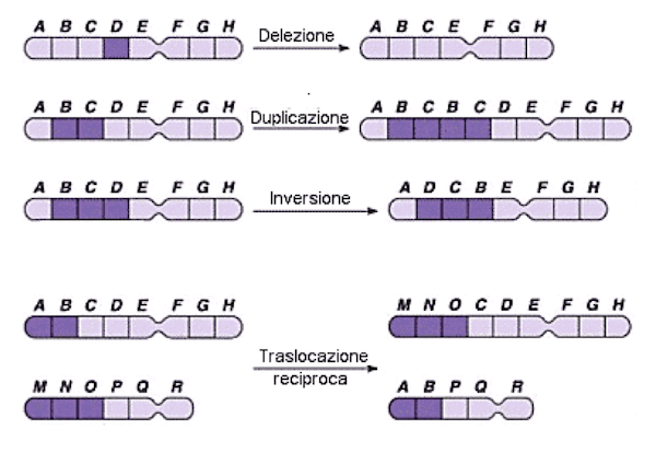Anomalie cromosomiche strutturali