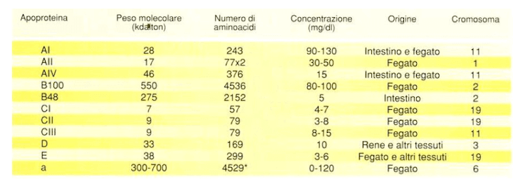 Principali caratteristiche delle apoproteine presenti nelle lipoproteine