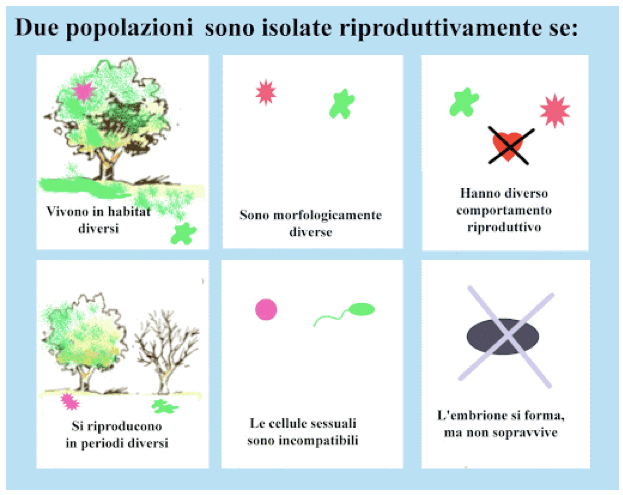 Cause possibile dell'isolamento riproduttivo