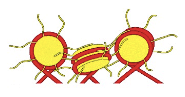 Code dei nucleosomi