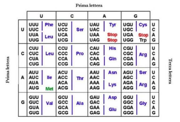 Codice genetico