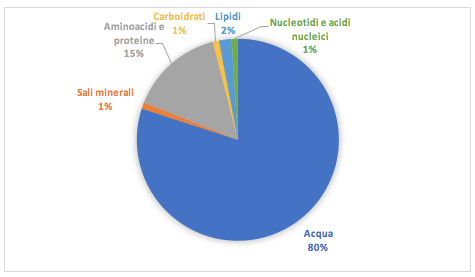 composizione chimica percentuale media del protoplasma