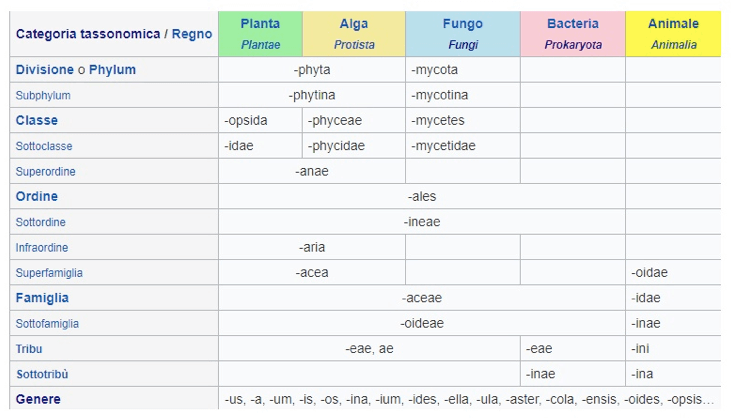 Corrispondenza tra suffissi dei taxa e categorie tassonomiche