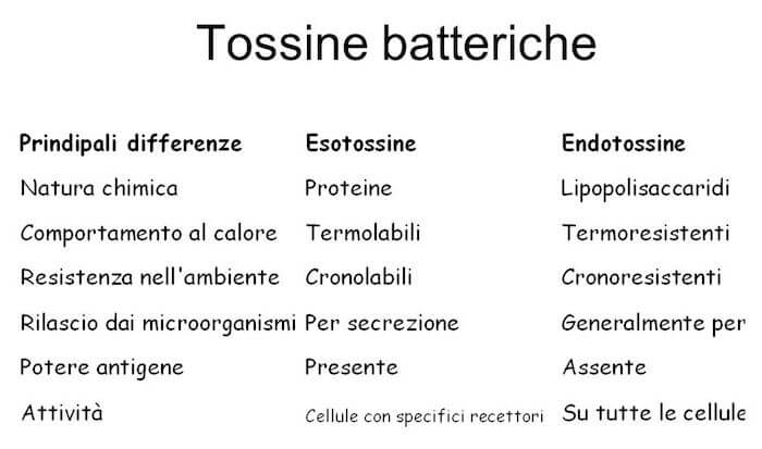 Differenza tra esotossine ed endotossine