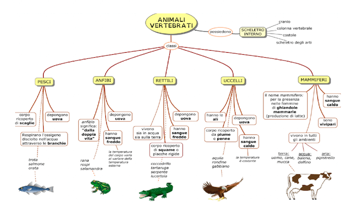 Diversità nei vertebrati