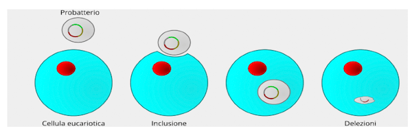 Endosimbiosi