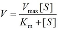 equazione di Michaelis-Menten