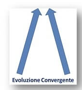 evoluzione convergente