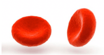 Forma dei globuli rossi