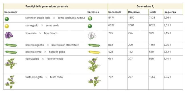 generazione F2