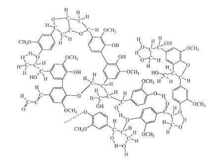 Polimero di lignina