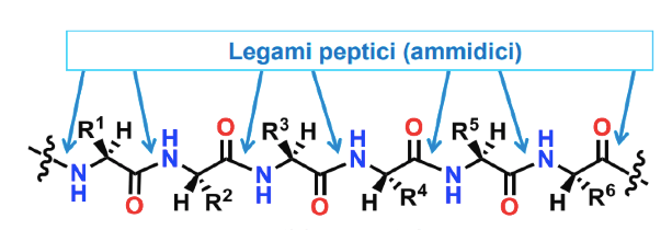 Non usare cibi anabolizzanti a meno che non utilizzi questi 10 strumenti