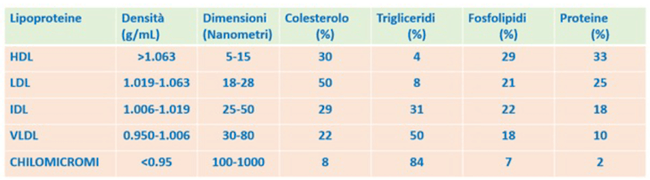 Proprietà delle lipoproteine plasmatiche