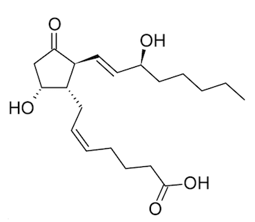 Struttura di una prostaglandina