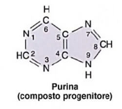 purina