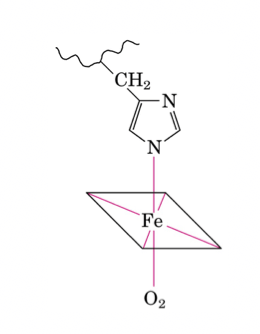 Residuo amminoacidico (istidina)