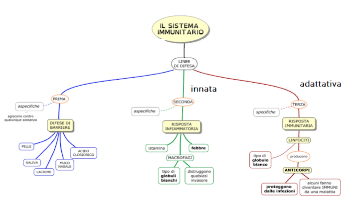 Sistema immunitario