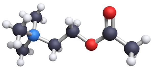 Struttura chimica della Acetilcolina