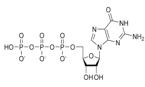 Struttura del GTP