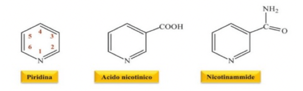 Struttura della piridina e delle due forme della Vitamina B3