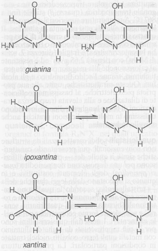 Forma chetonica (lattamica) e forma enolica (lattimica) di purine