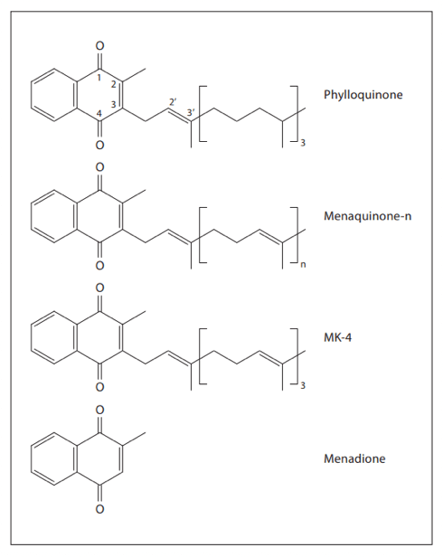 Le formule di struttura di fillochinone, menachinone, MK-4 e menadione