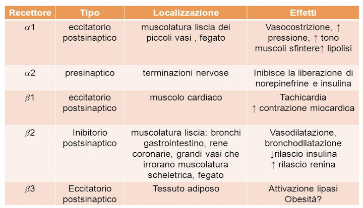 Tipi di recettori adrenergici