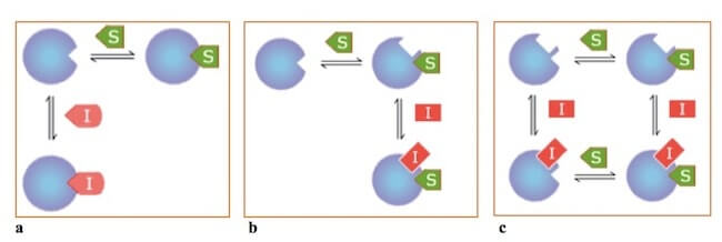 tipologie di inibizione reversibile