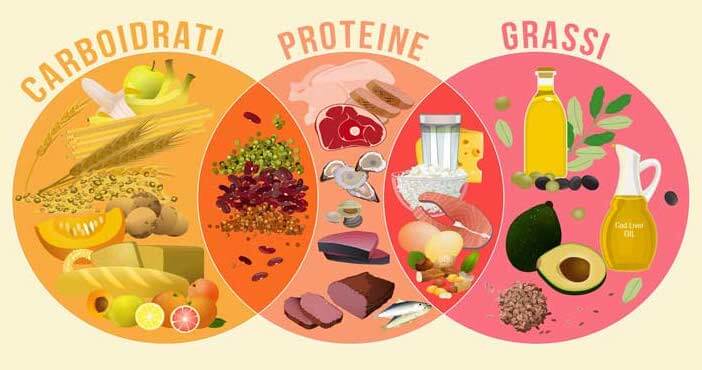 Alimenti che contengono i macronutrienti