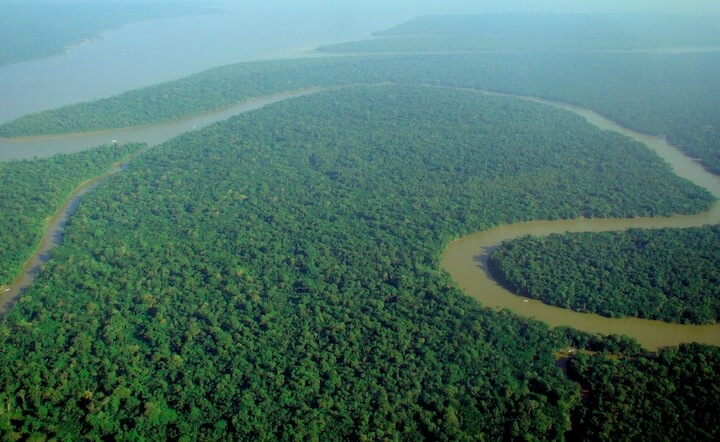 Nome collettivo di alberi