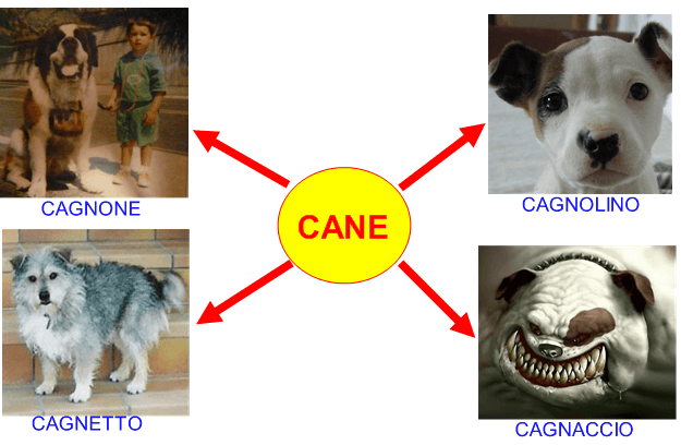 Nomi alterati di cane