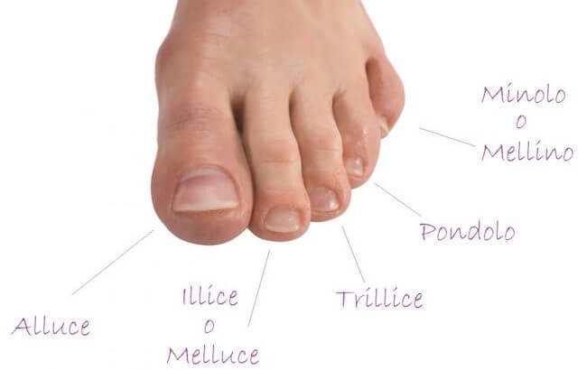 Come si chiamano le dita dei piedi