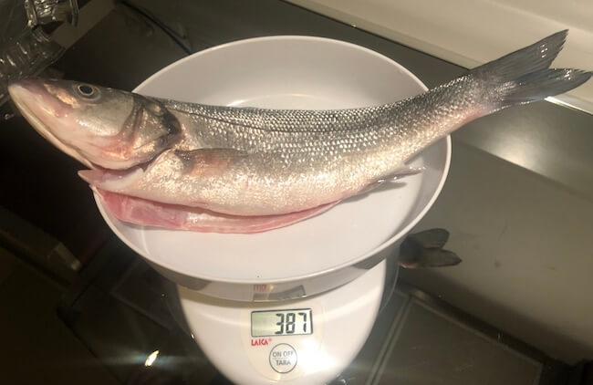 peso branzino
