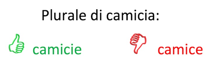 Plurale di camicia